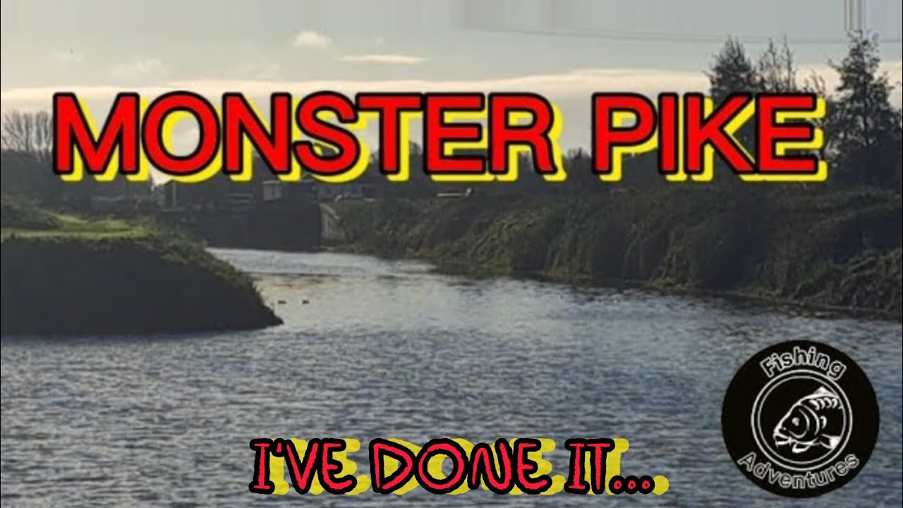 Hunting uk monster #pike #catchandrelease #fishinguk #fishing #viral #fyp #monster #northernpike 