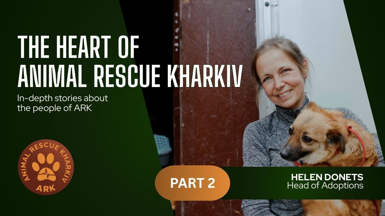 Closer Look At The Heart Of ARK | Helen Interview, part 2