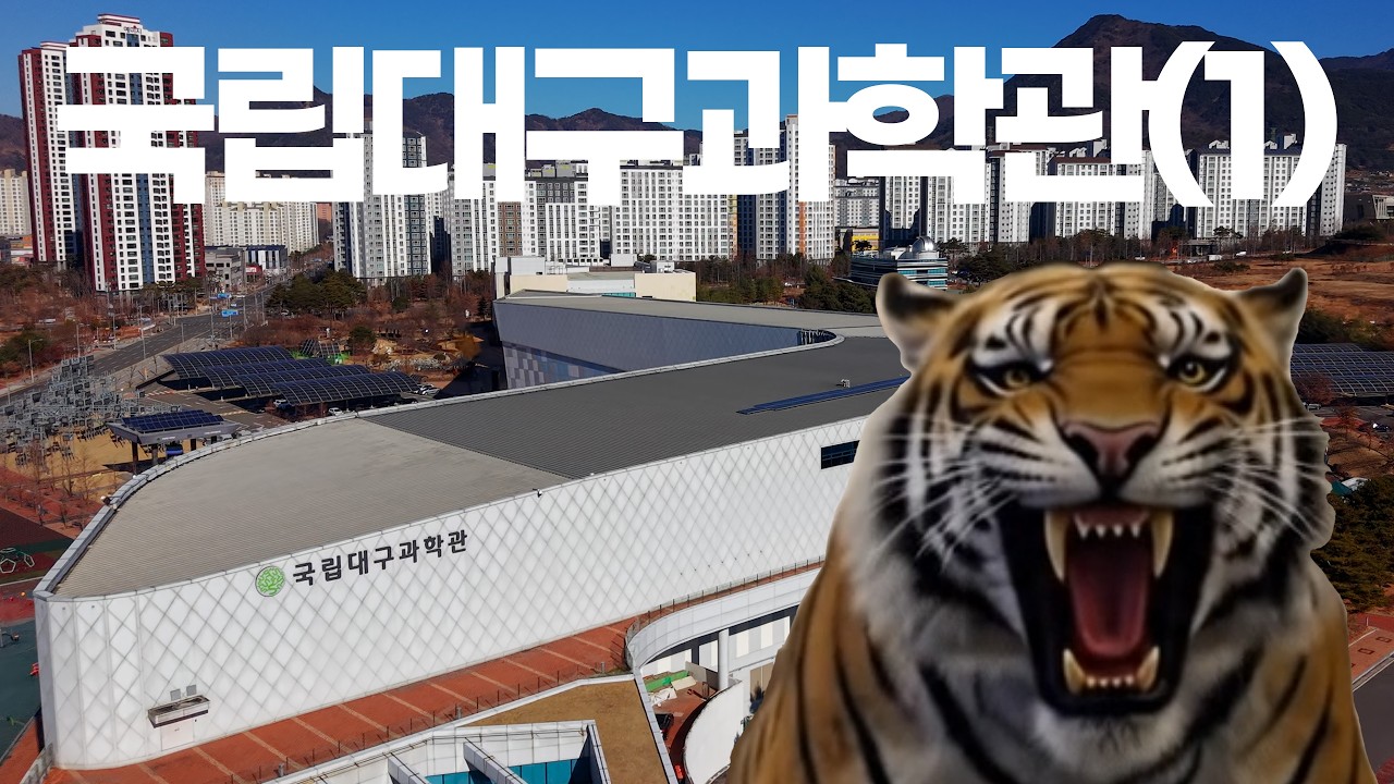 초딩 아이들이랑 국립대구과학관 투어 (1)｜겨울에 가기 좋은 실내 놀이터