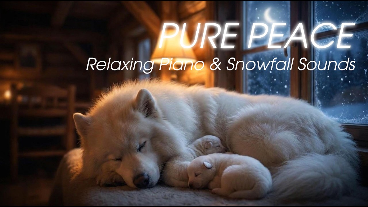 Deep Sleep Music for Dogs & Humans: Cozy Cabin Winter Night 🏔️❄️