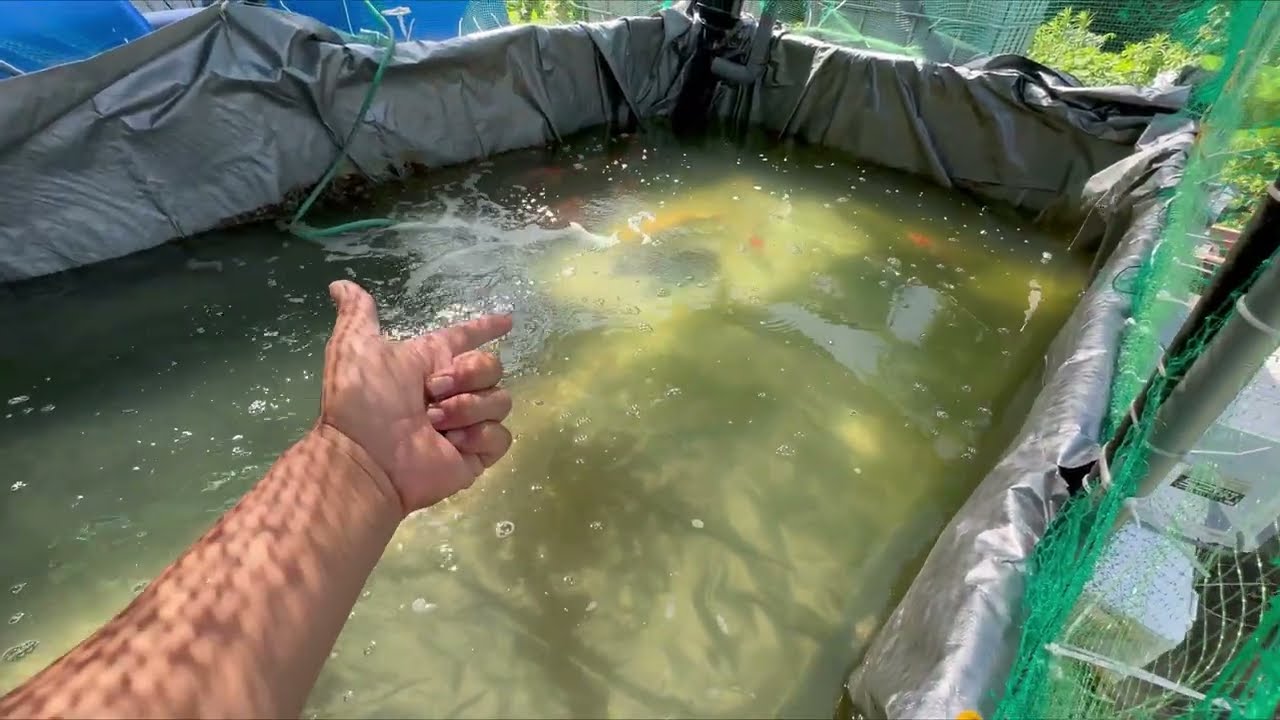 バクテリア水質研究所