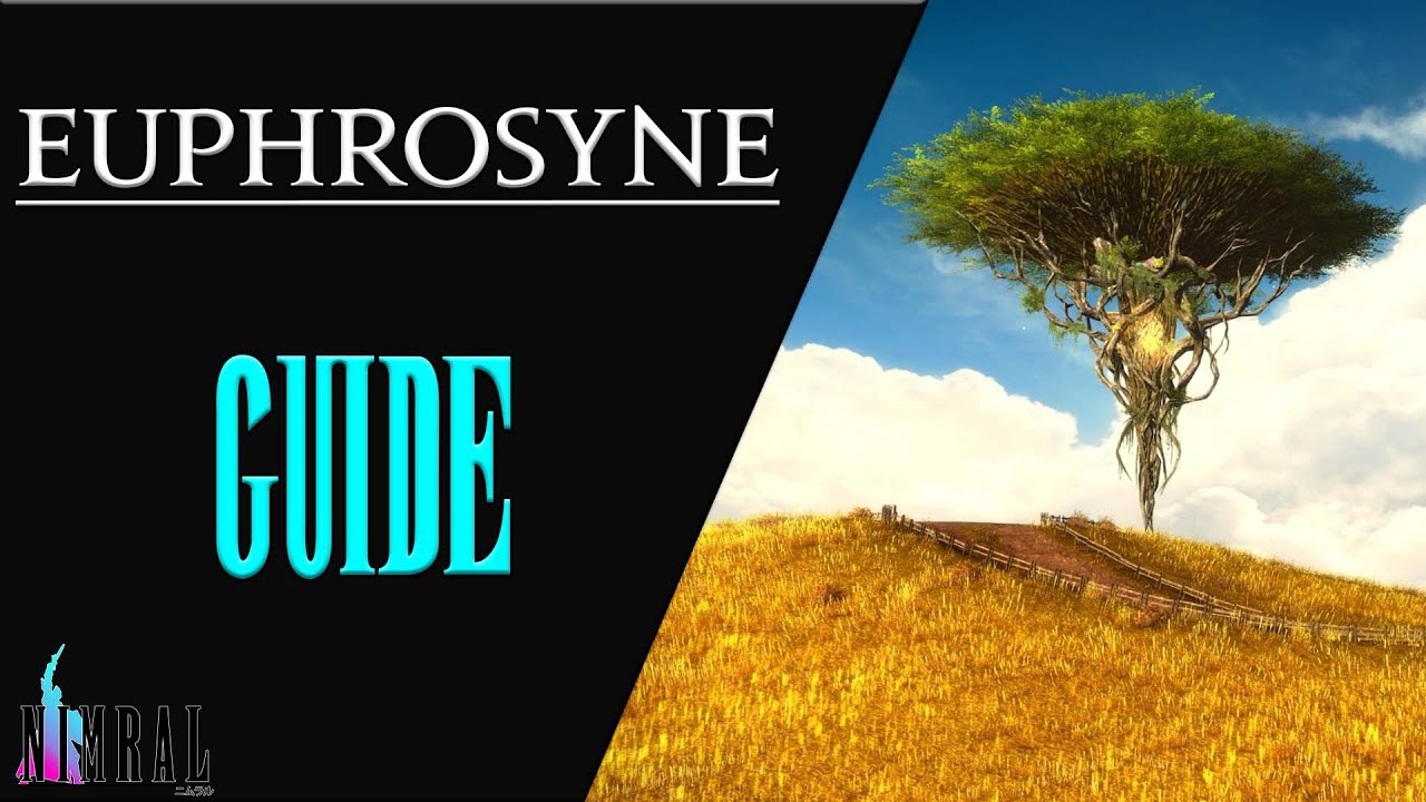 ⚔️ Euphrosyne 🏹 Tank-POV // Endwalker - Raid Guide / Neulings Guide FFXIV