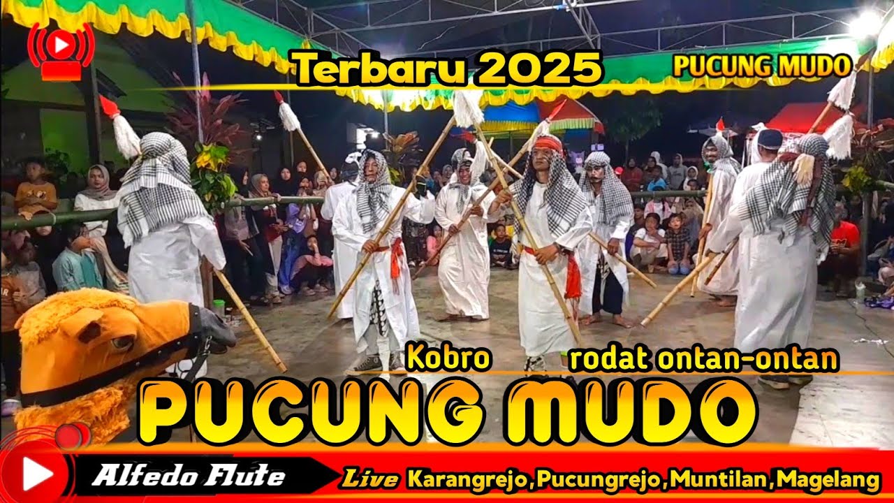 Kobro Pucung mudo terbaru 2025 Ontan-ontan lanjut rodat setrat live Karangrejo,Pucungrejo,Muntilan