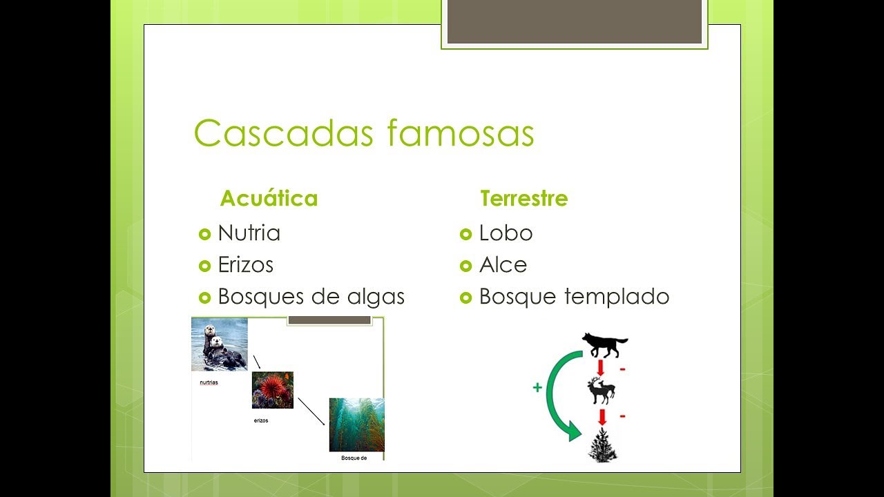 2 Introducción al Simposio de Cascadas Tróficas