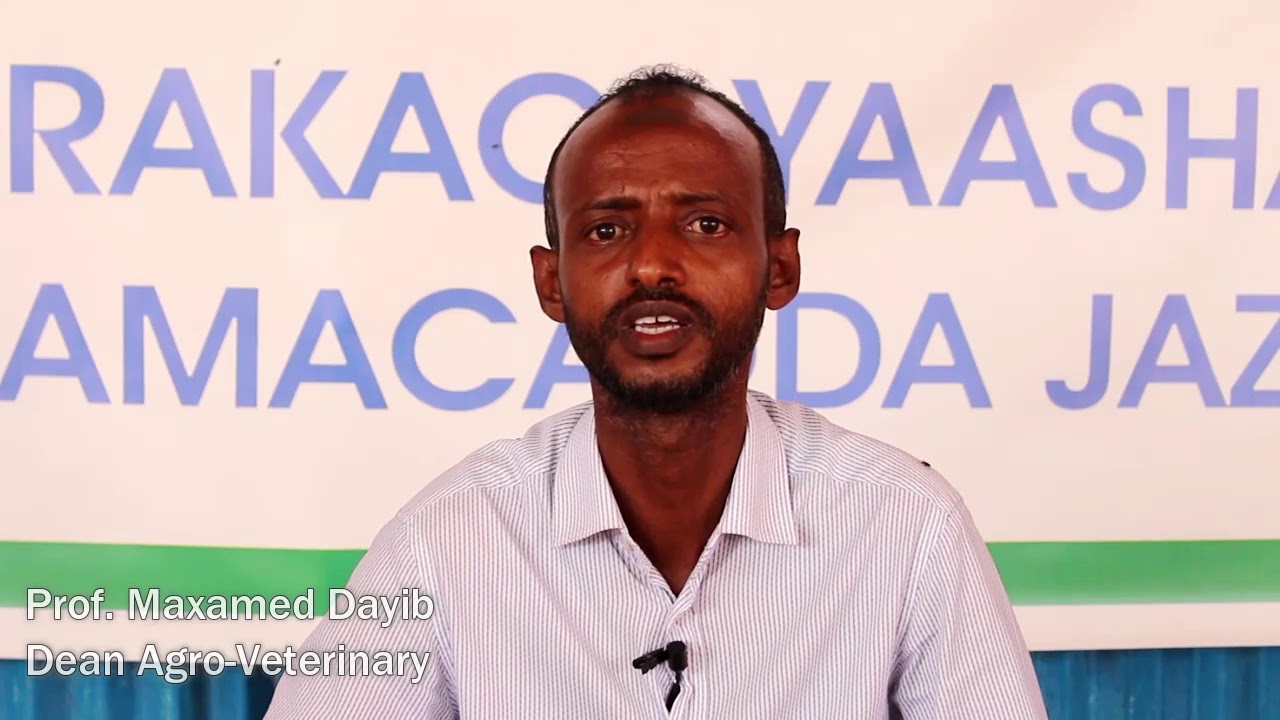 Maamulka iyo Ardayda Jaamacadda Jazeera ayaa deeq gaarsiye barakacayal