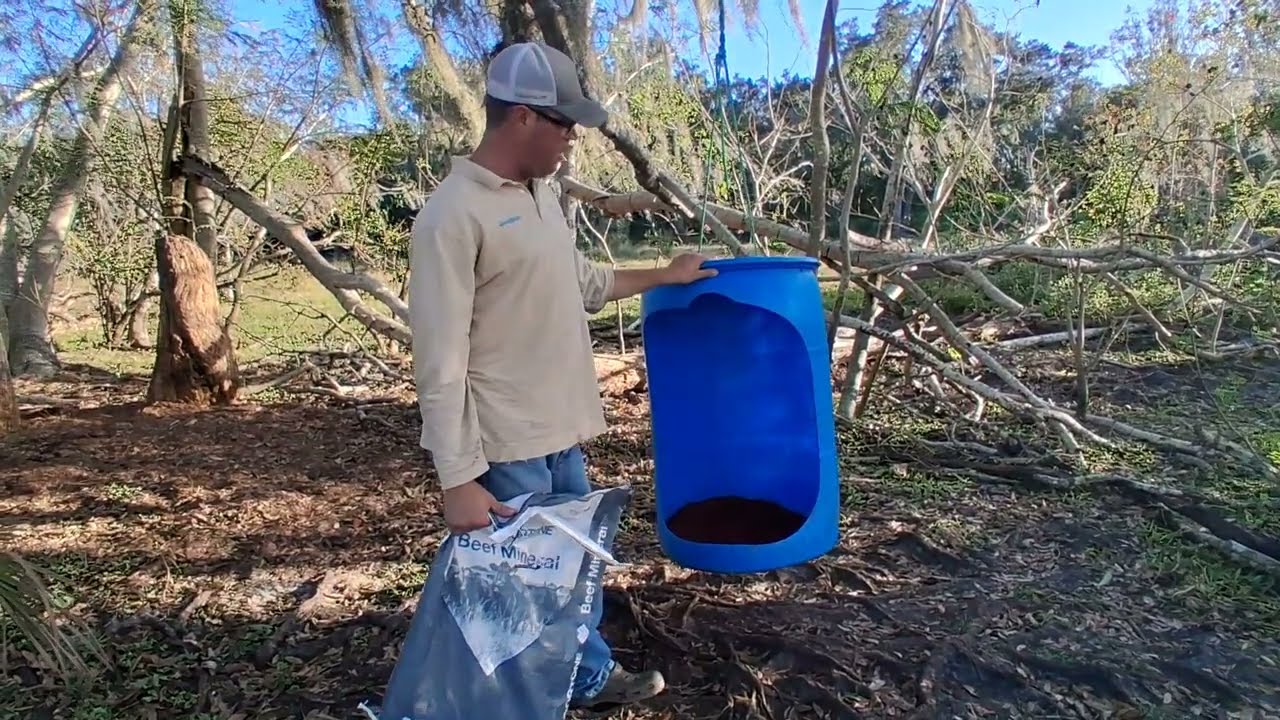 mineral feeder for cows cheap