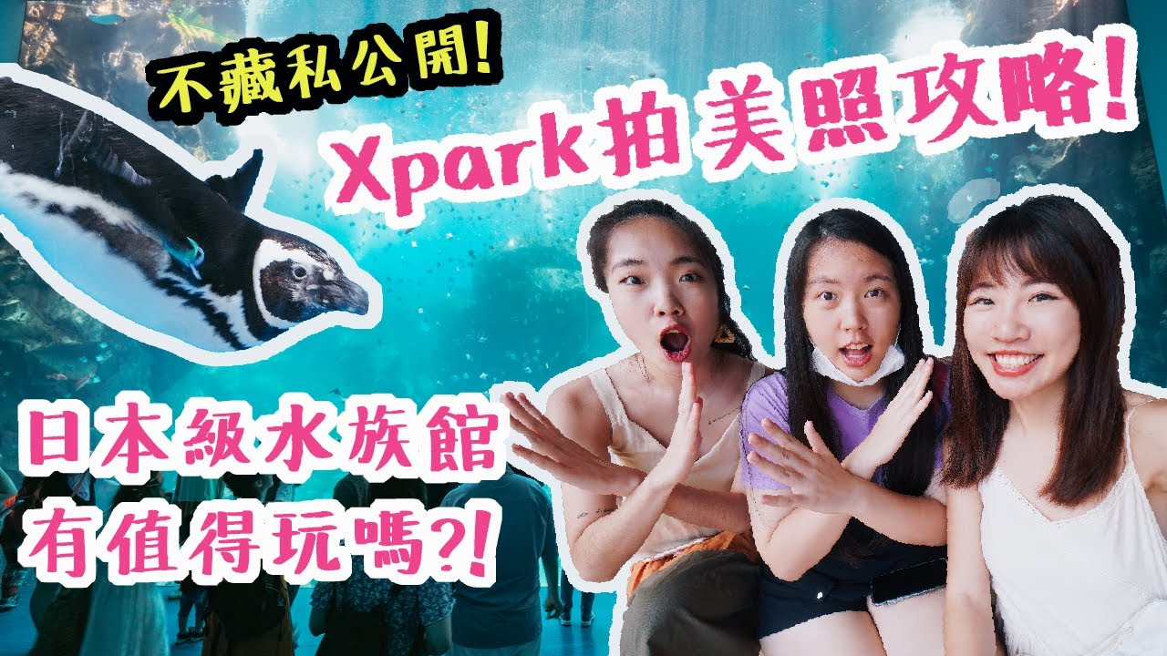 Xpark水族館拍美照攻略來啦！桃園就逛得到日本級的水族館，550元有值得去嗎？！桃園親子約會景點推薦｜Irene麻糬公主