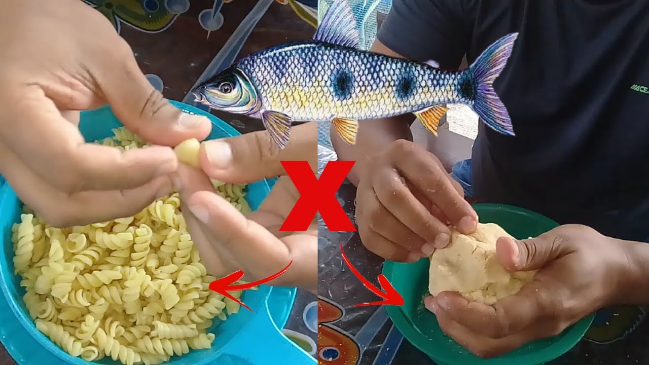 (Massa de pesca Pegadeira) X Massa de Macarrão qual a Melhor para (Pesca) #pesca #massa