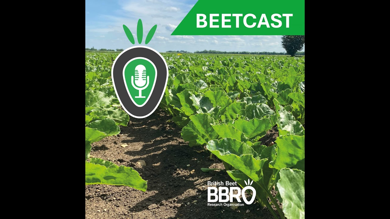 BeetCast March: Preparation key for a good start