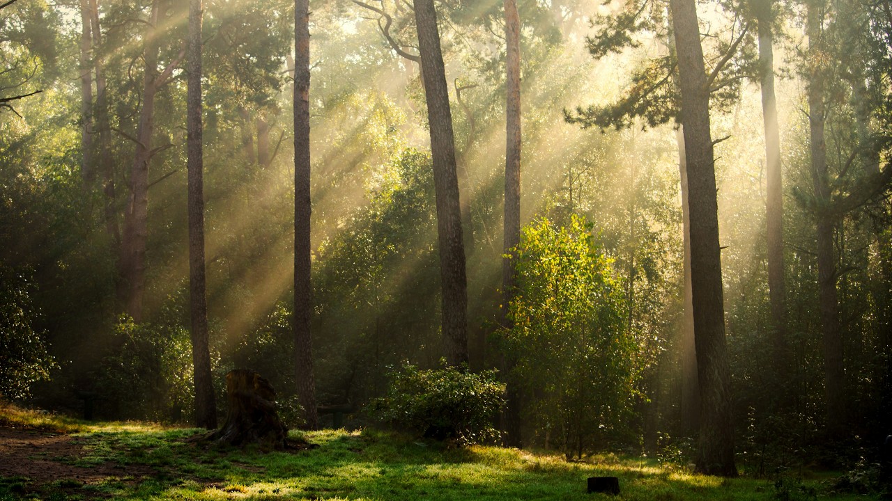 Nervous System Sanctuary 01 - When the Body Is Carrying Too Much - Stillpoint Transmission