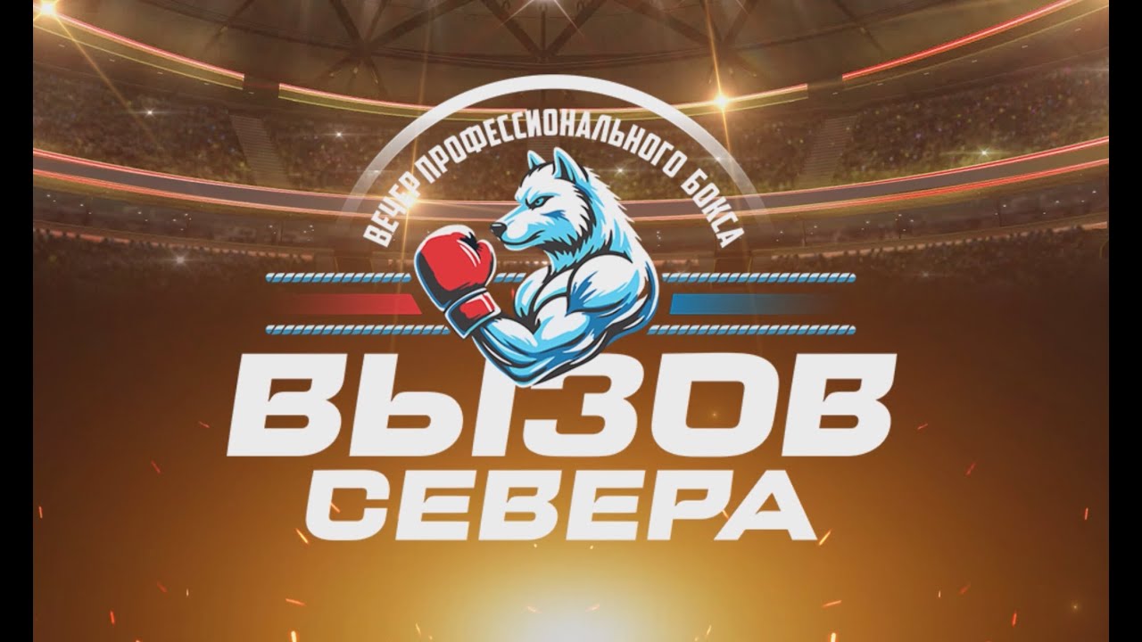 Профессиональный бокс 