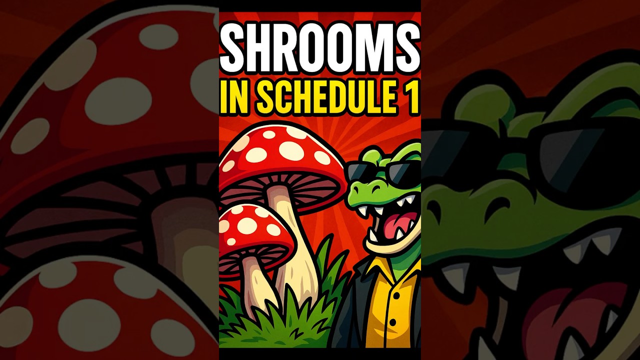 Schedule 1 NEW Update Just Changed Everything