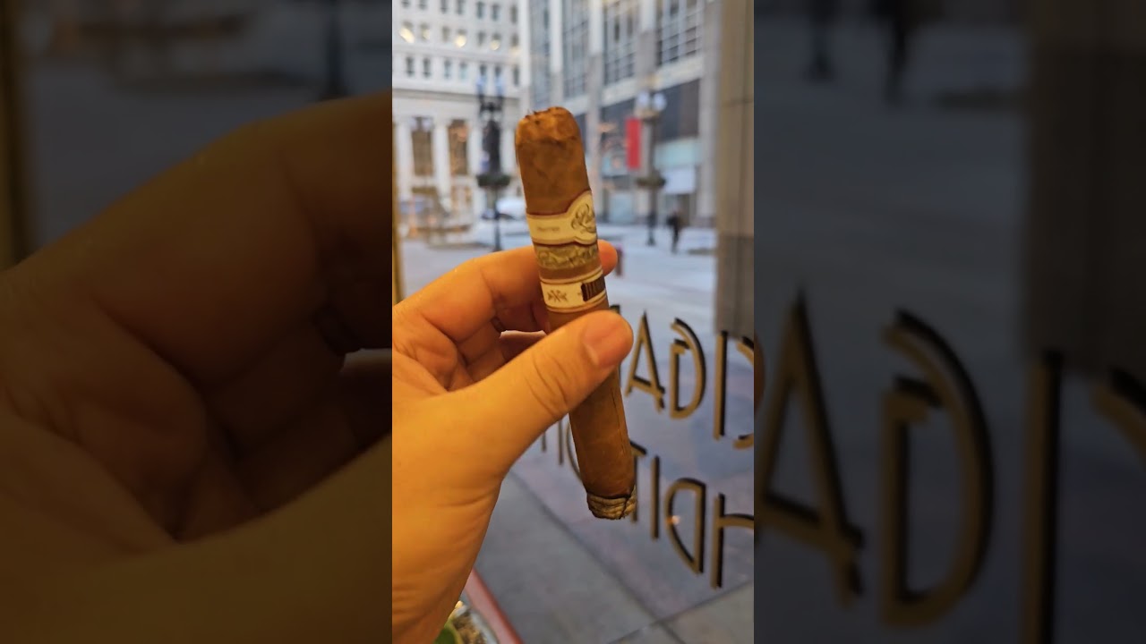 Chicago is brutal in winter, but cigar calms me down 🛌 Padron Damaso 🔥☃️ Perfect draw #cigarreviews