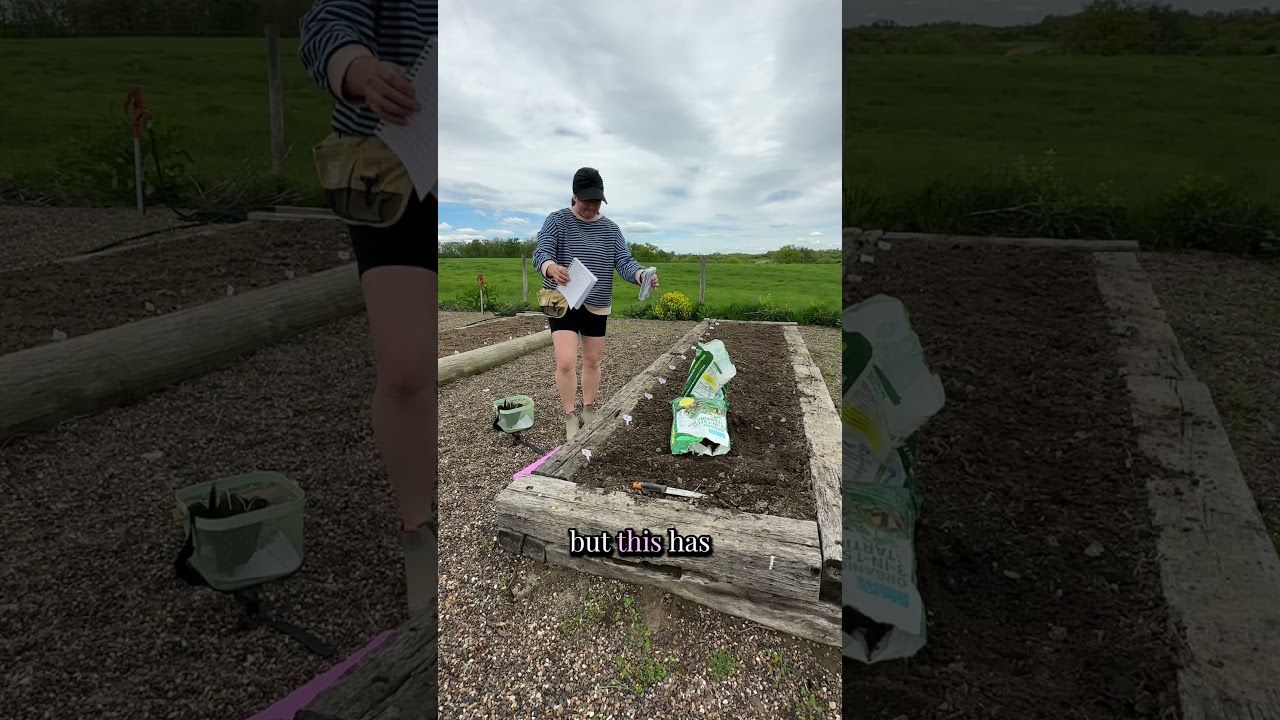 How I Plant Cut Flower Seeds #cutflowers #farmstand #flowergarden #easygardening