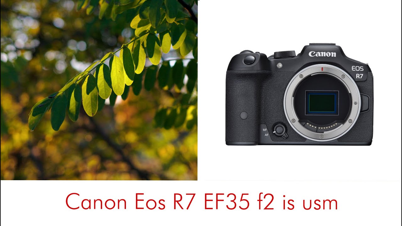 Canon R7 - Canon Ef 35mm f2