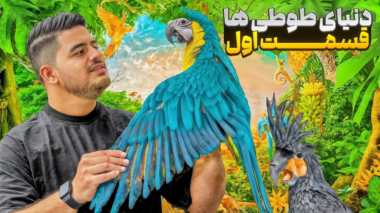 دنیای طوطی ها ( قسمت اول )