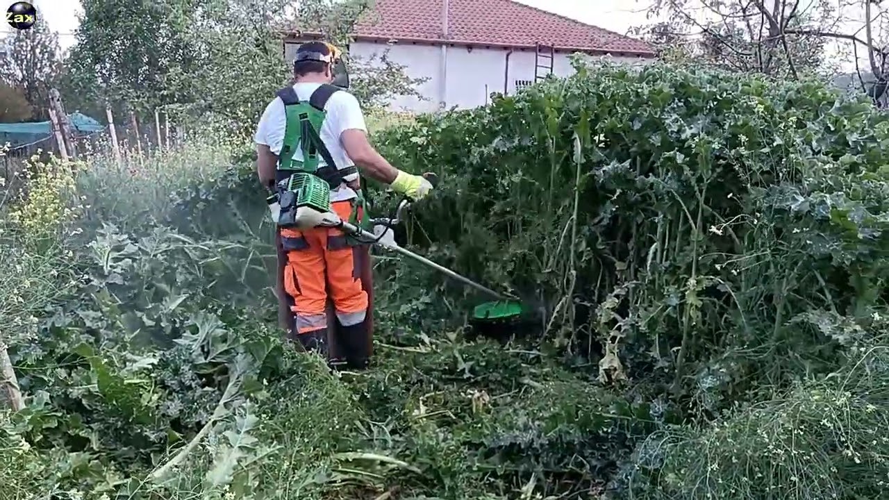 ACTIVE 6.5BT Vs Γαϊδουράγκαθα