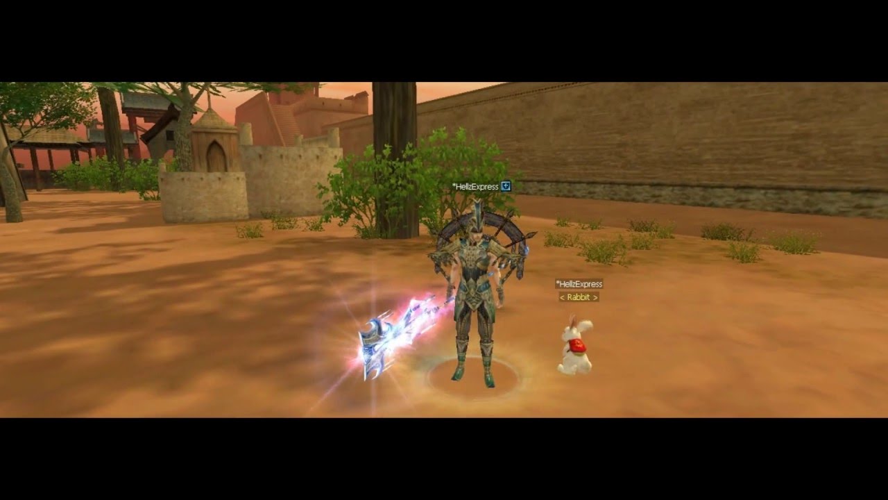 Silkroad Online 80 Cap Thief vs Hunter Job War