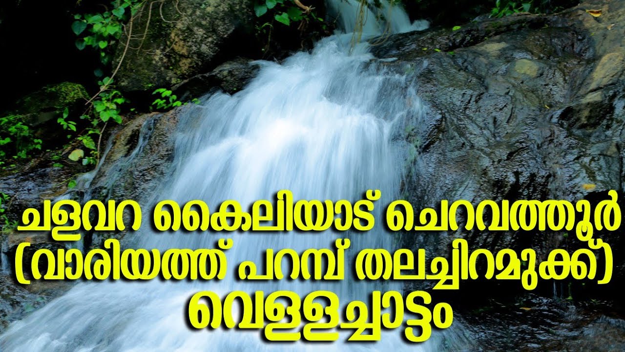 ചളവറ വാരിയത്തു് പറമ്പിലുള്ള  ഒരടിപൊളി വെള്ളച്ചാട്ടം..