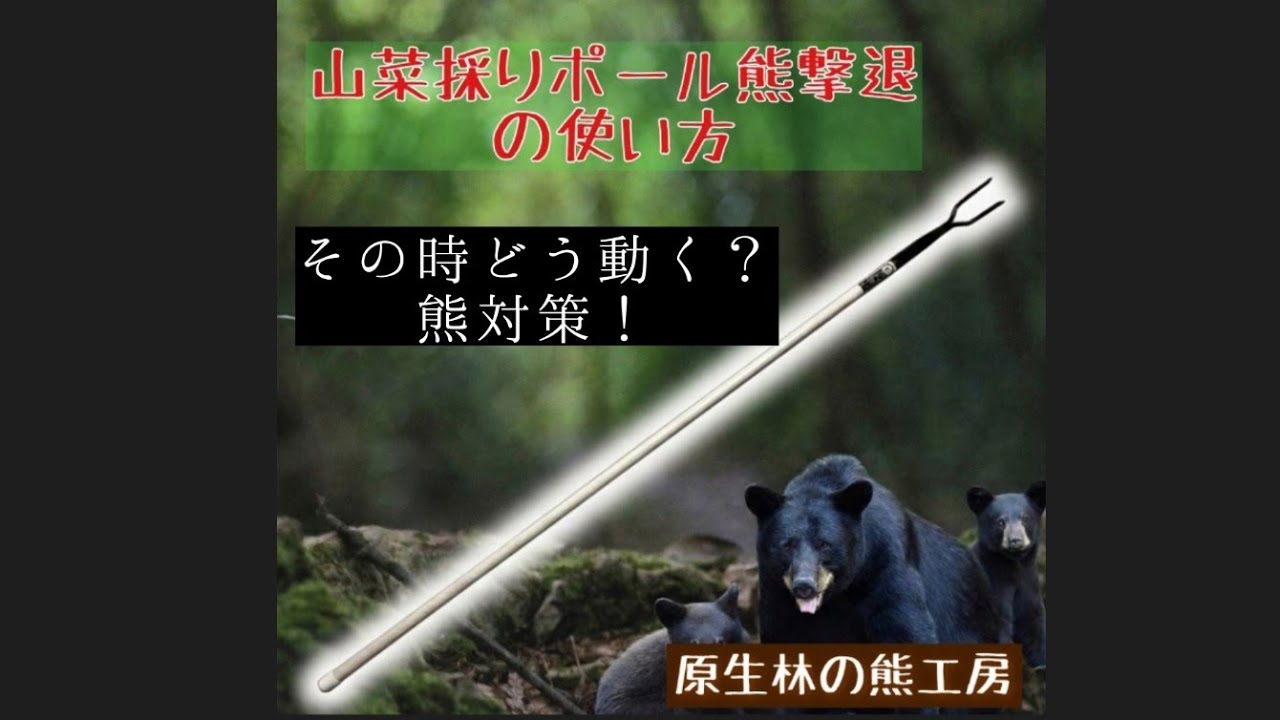 その時どう動く？熊対策
