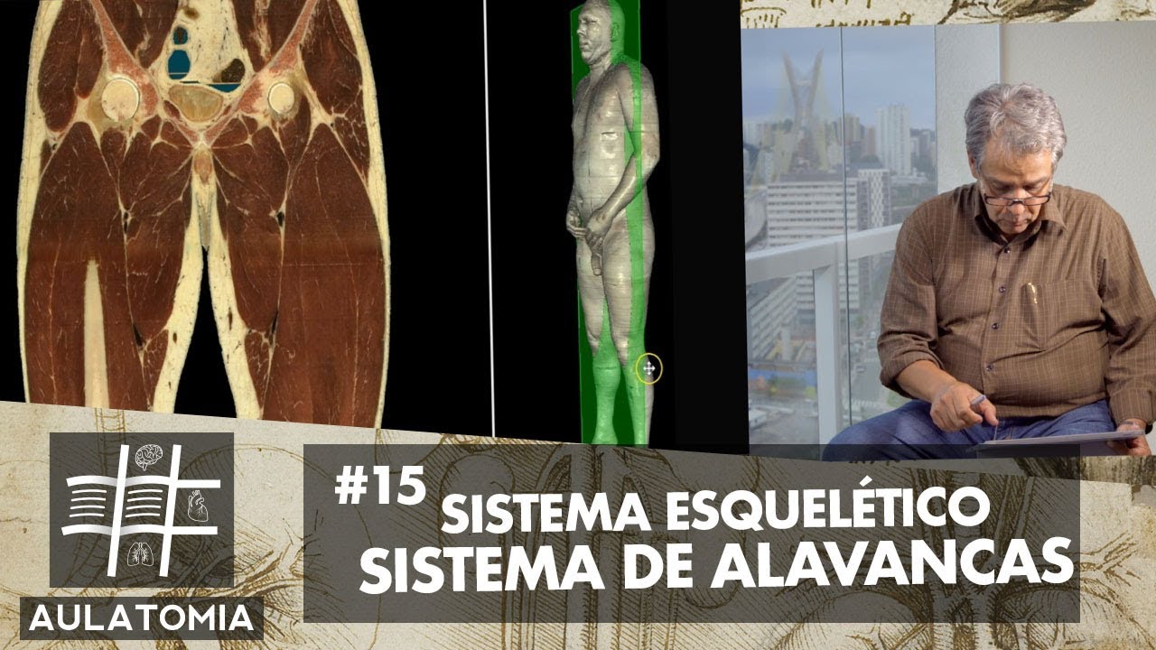 AULATOMIA #15 - Sistema de Alavancas (Sistema Esquelético Aula 2)
