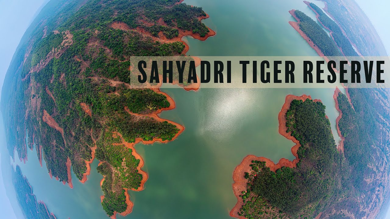 Sahyadri Tiger Reserve - Aerial Landscapes - सह्याद्री व्याघ्र प्रकल्प