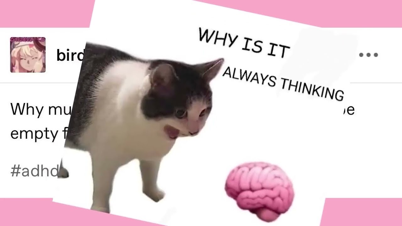 It Came From Tumblr #129 | Binge Compilation