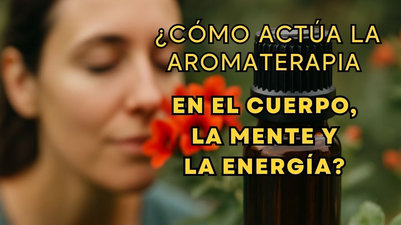 ¿Qué trata realmente la aromaterapia? Descubre cómo trabaja la aromaterapia en ti