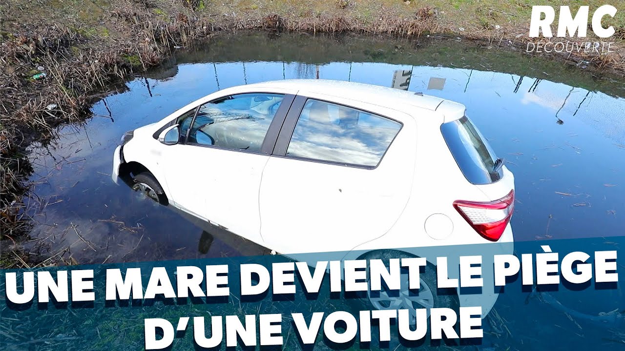 Voiture dans la mare : accident insolite !