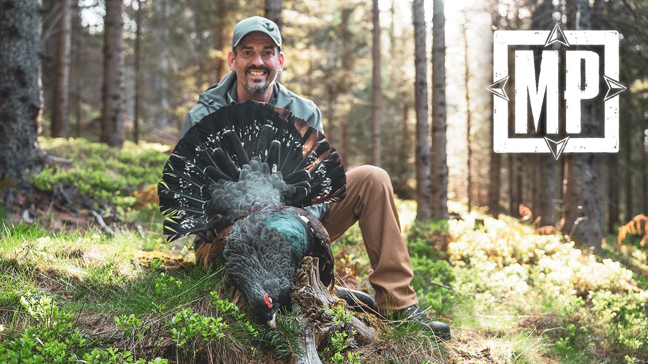 Hunting Capercaillie in Austria | Mark V. Peterson Hunting