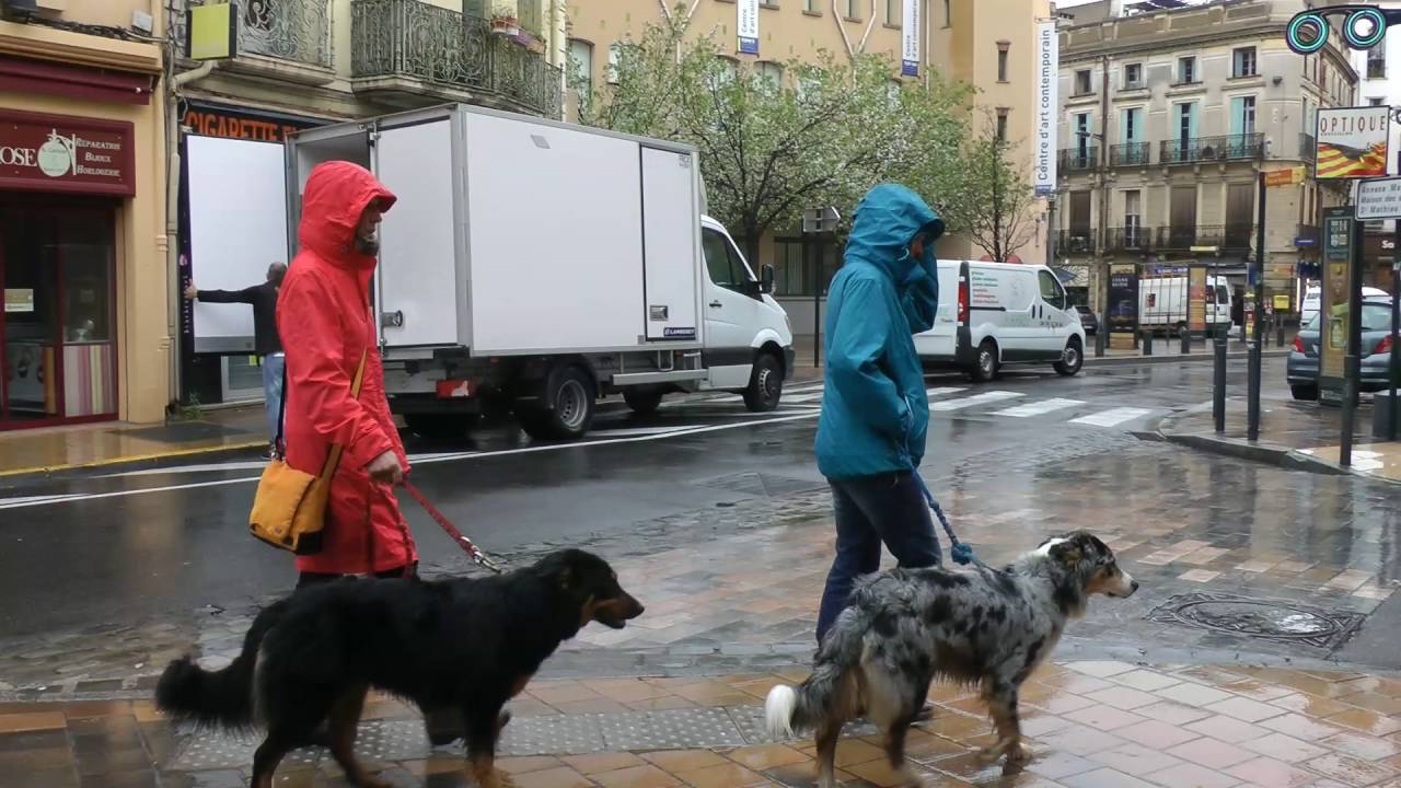 (11) Osterreise ans Cap Leucate Südfrankreich 2016 Video 11:   Regentag in PERPIGAN