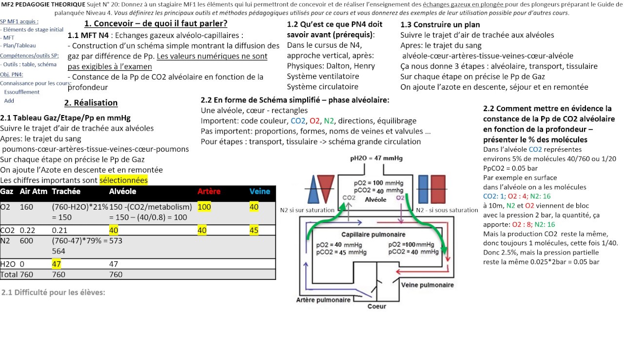 MF2 Pédagogie Théorique n20 : échanges gazeux en plongée - Guide de palanquée Niveau 4