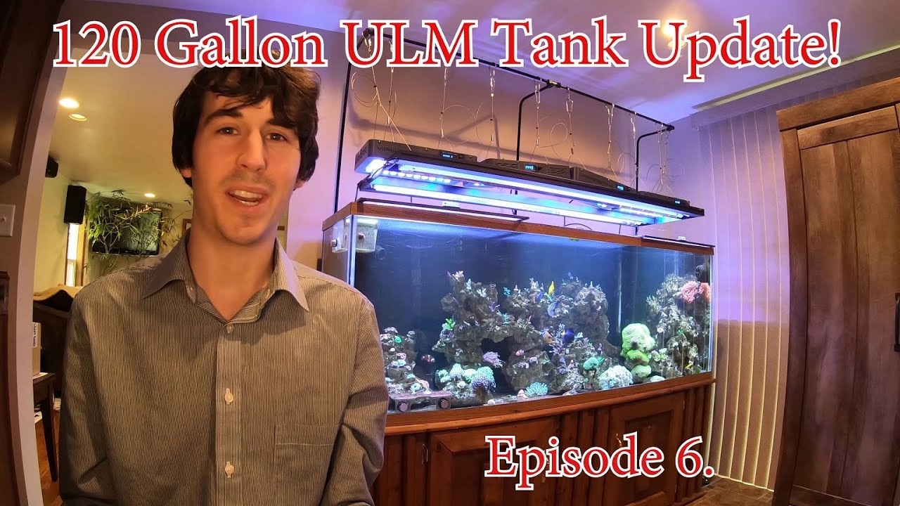 Episode 6. Ultra Low Maintenance (ULM) Saltwater Mixed Reef Tank Equipment Update!