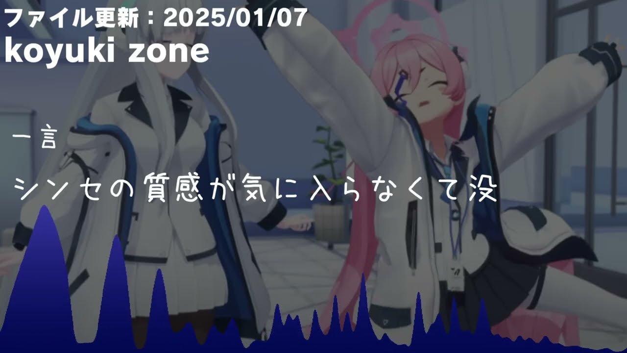 しぶしぶの2025年没集