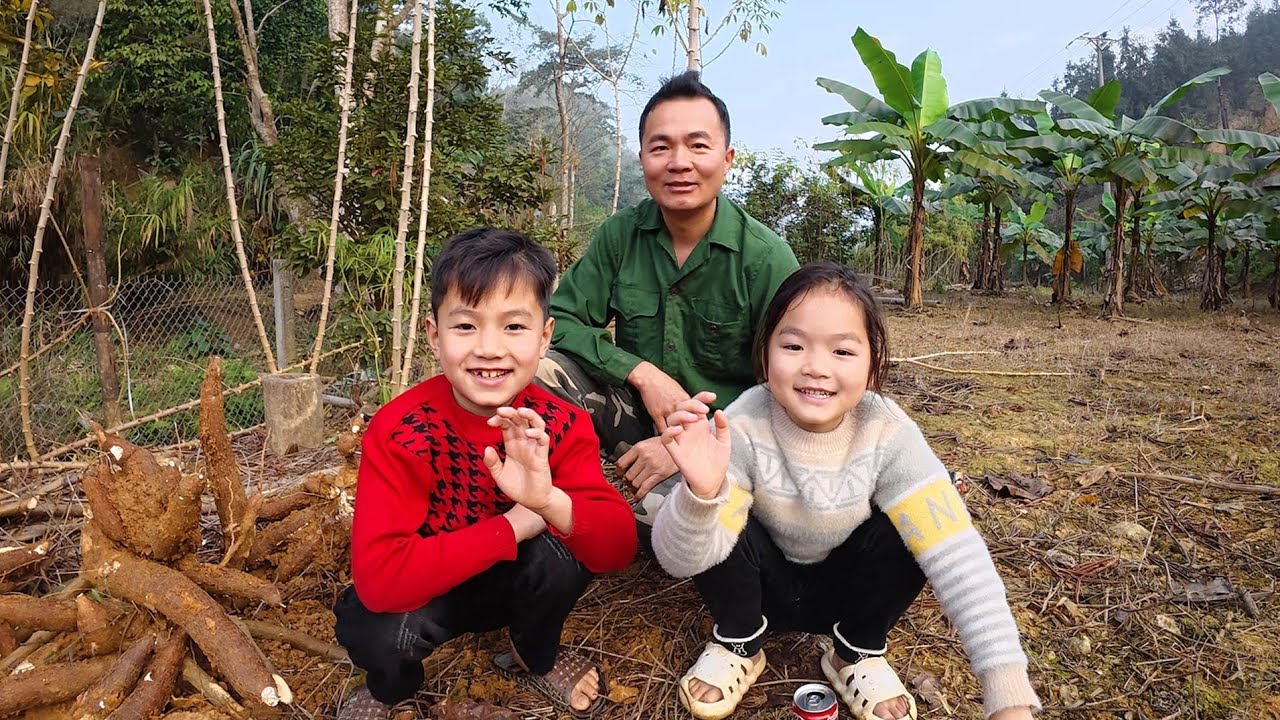 Ba bố con cùng nhau thu hoạch sắn nghiền bột cho vật nuôi