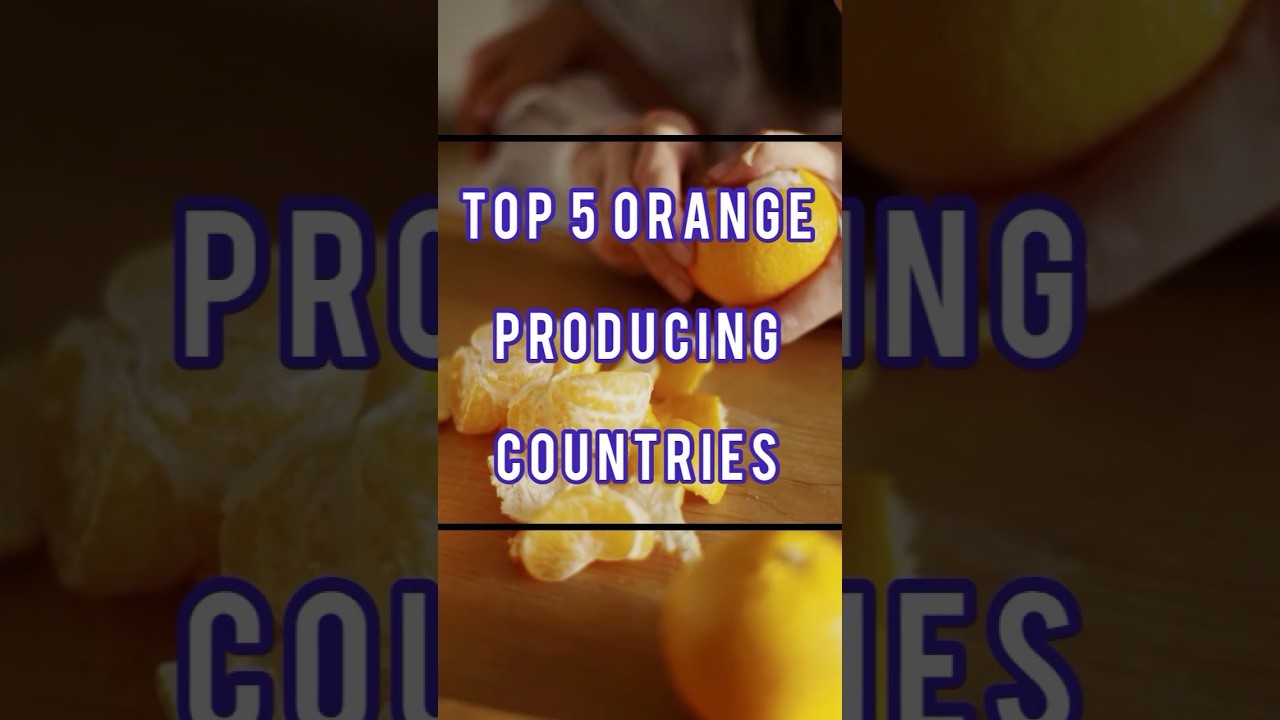 Top 5 Orange Producing Countries🍊 