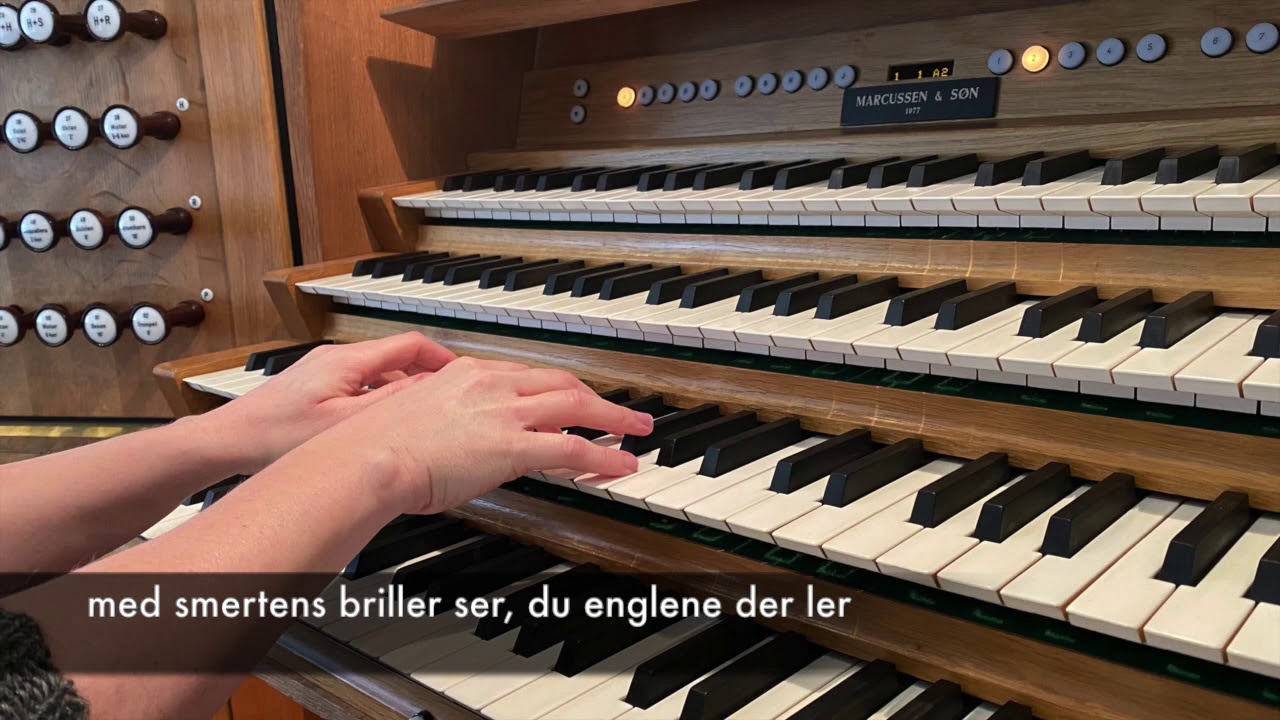 Salmer fra Sankt Nicolai - Guds Nåde er en vintergæk