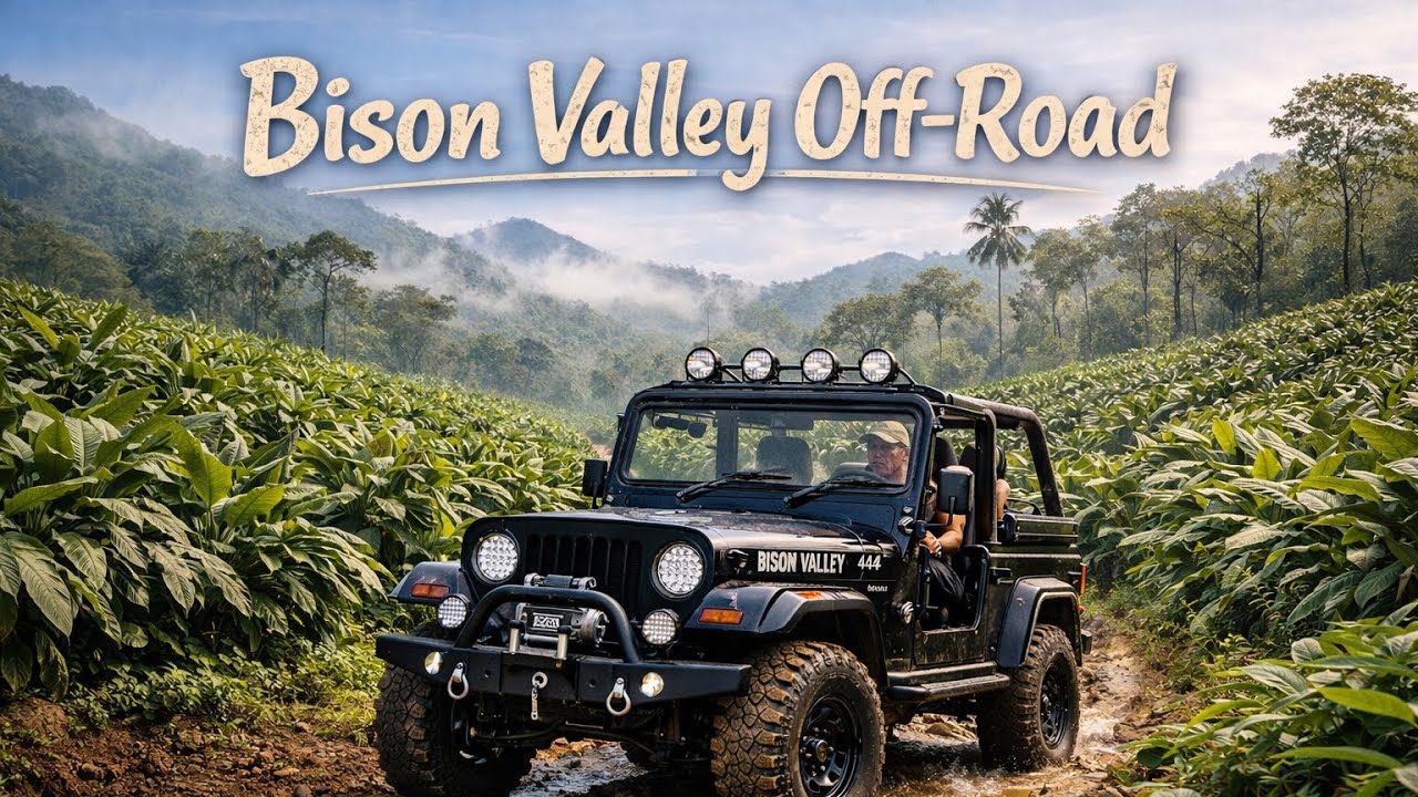 Bison Valley Off-Road | Lost in the Cardamom Mist #vagrantkeralite 