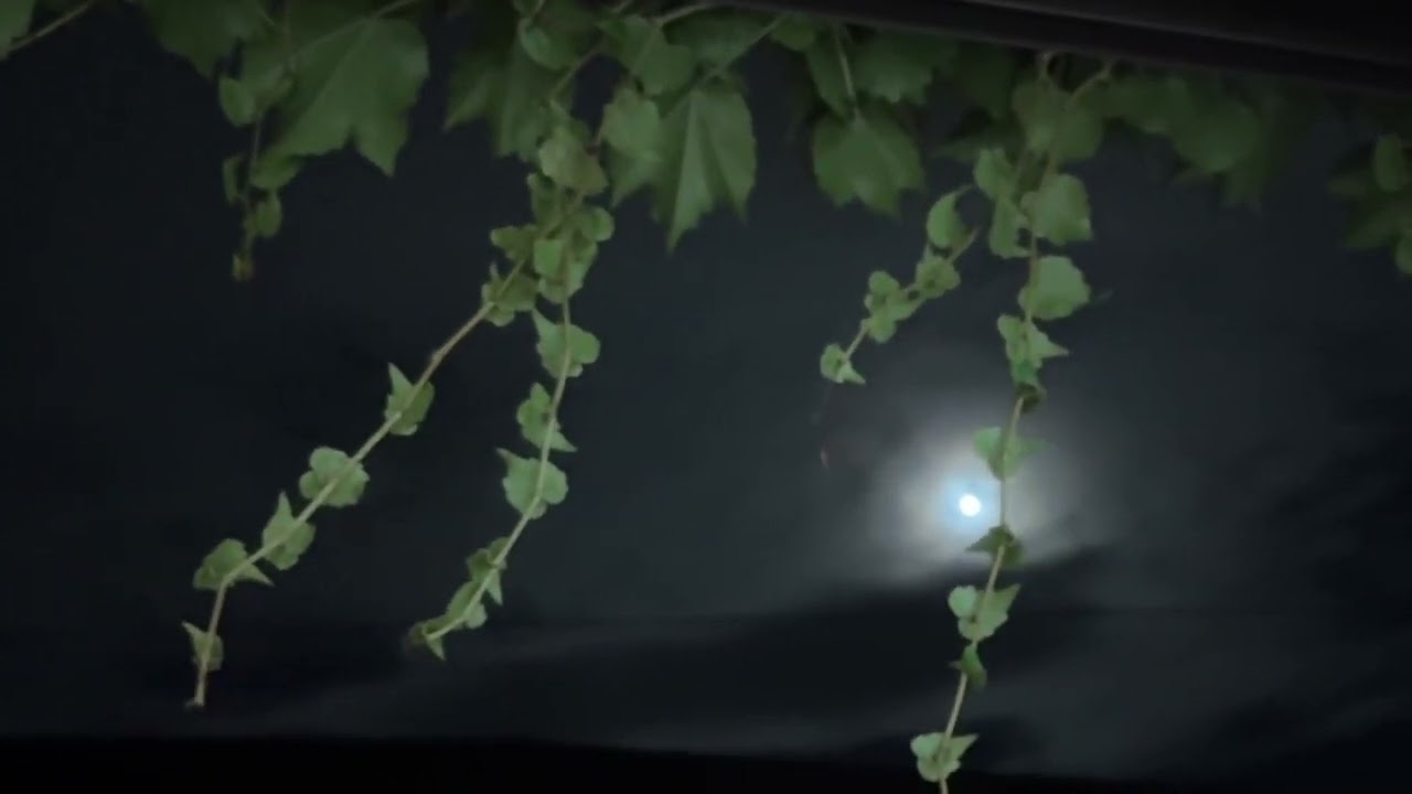 お月さま🌕   休憩中☕️