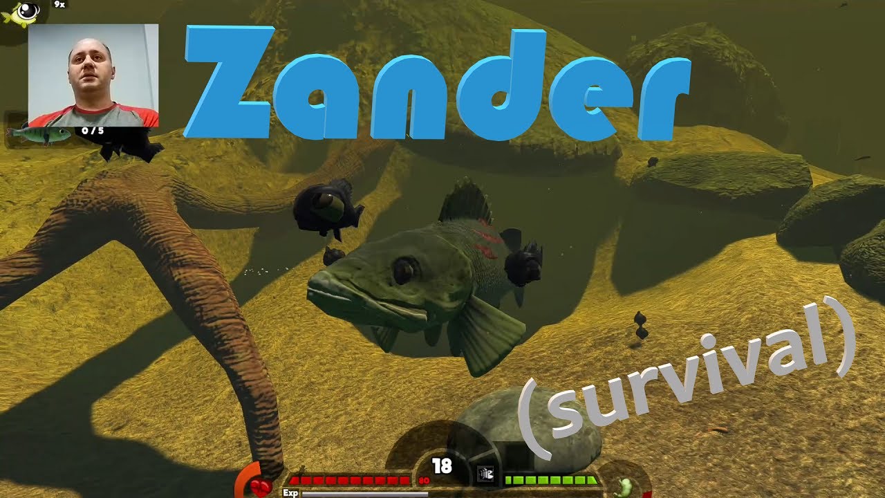 Feed & Grow Fish - Swamp - Zander (Survival)