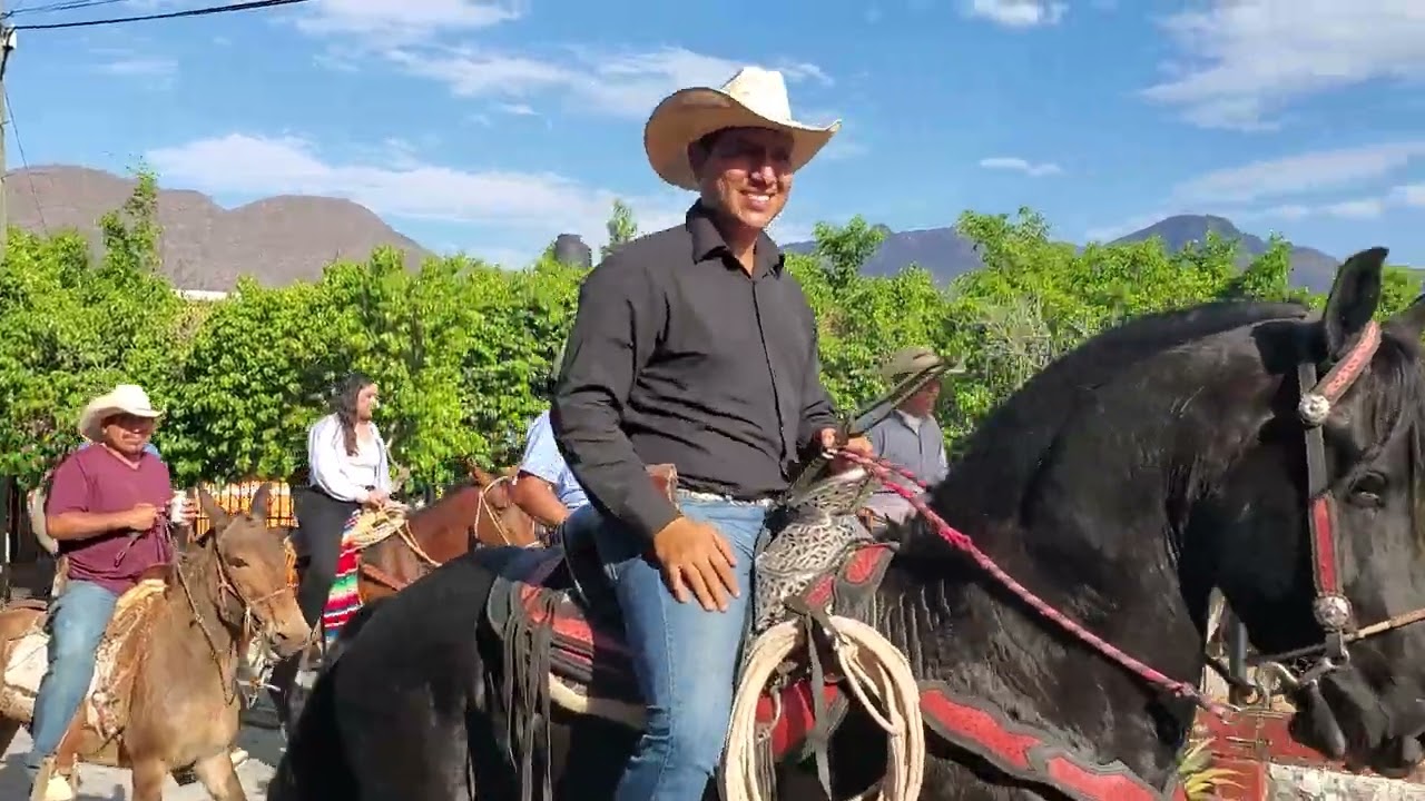 cabalgata Palmillas gro. 2024