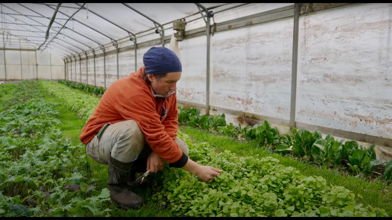 Die Zukunftsbauern - Rundgang durch den Market Garden im April