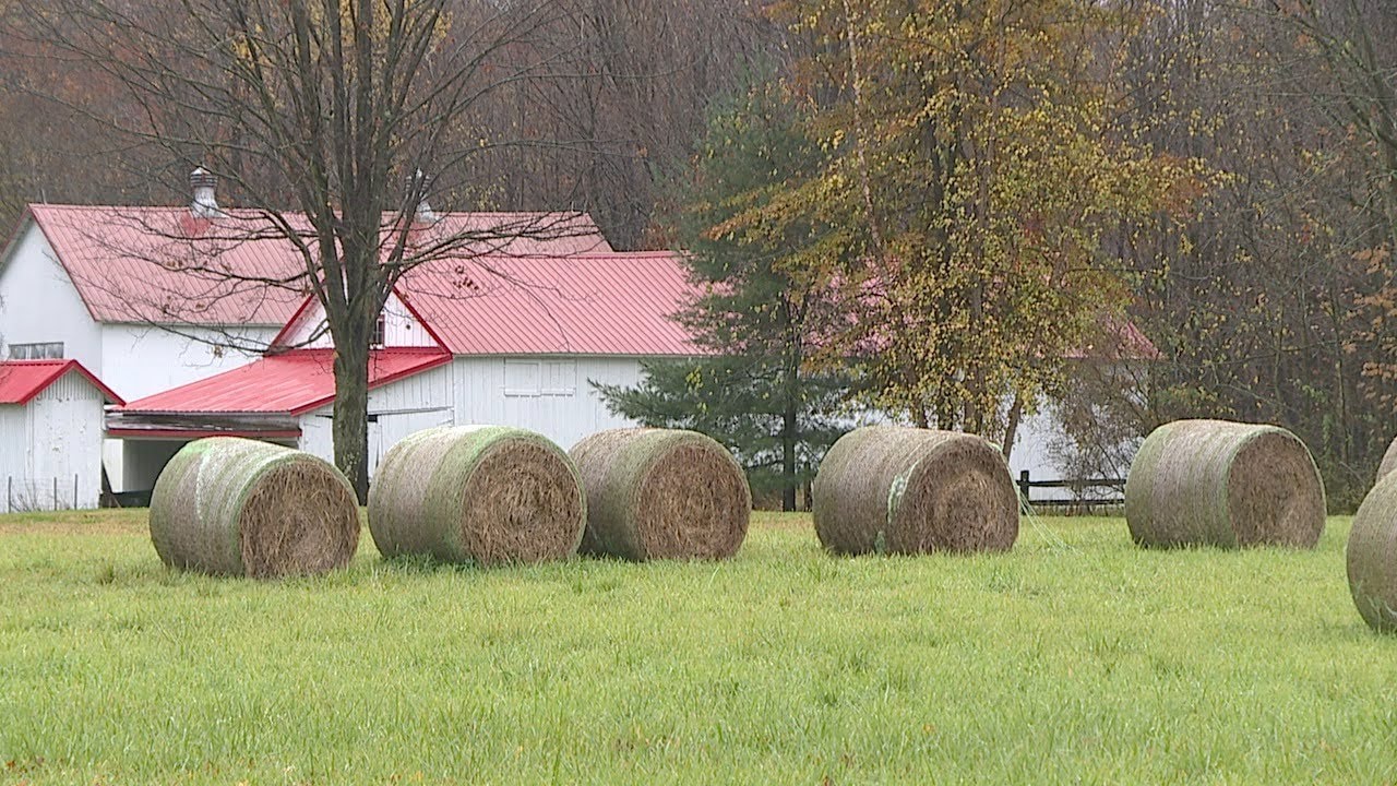 Geauga County Road Trip