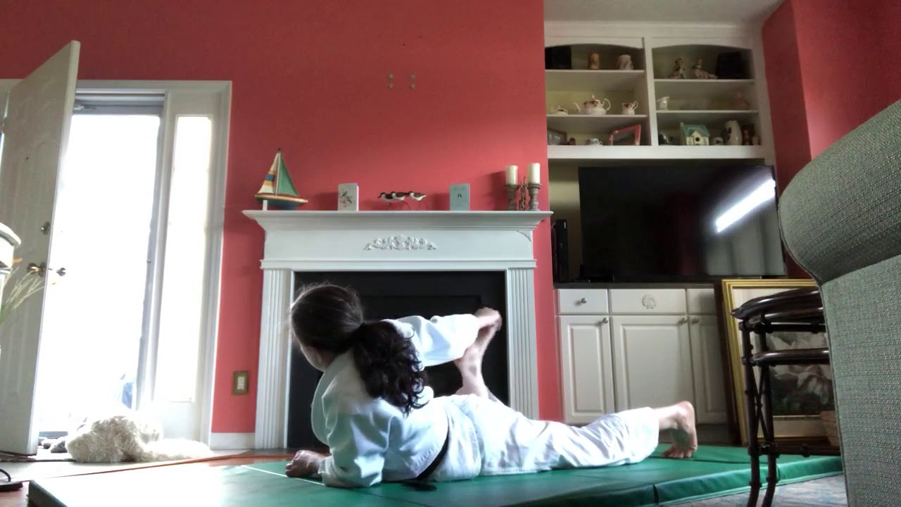 Aikido Online Class- Fundamentals and Yoga Warm Ups