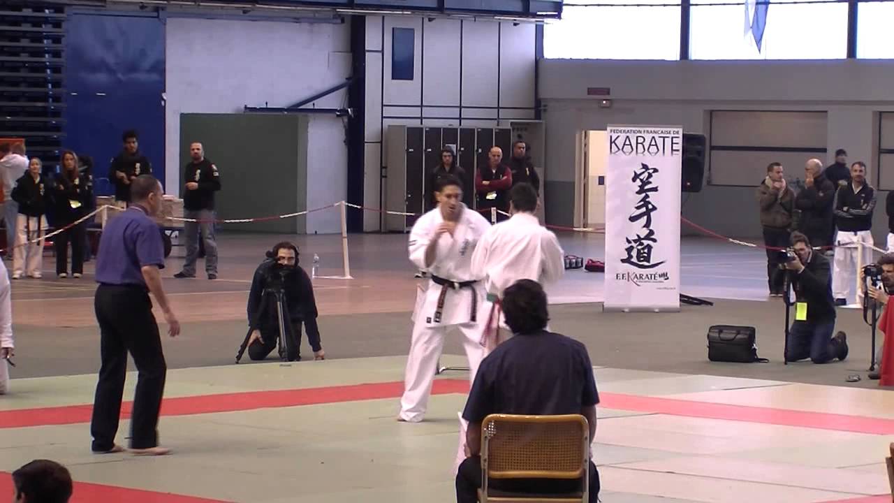 Lucian Gogonel Coupe de France Kyokushin 2012