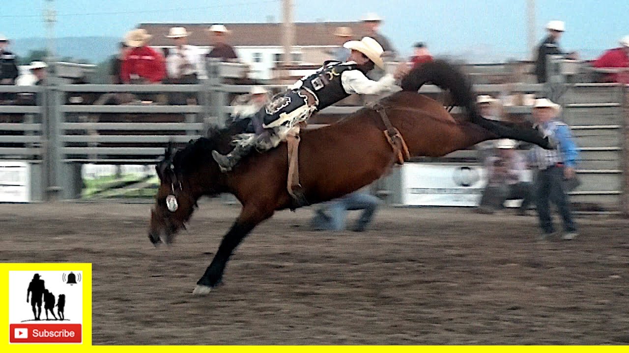 Bareback Broncs, раздел 1 — Champions Challenge Xtreme Roughstock 2022 года