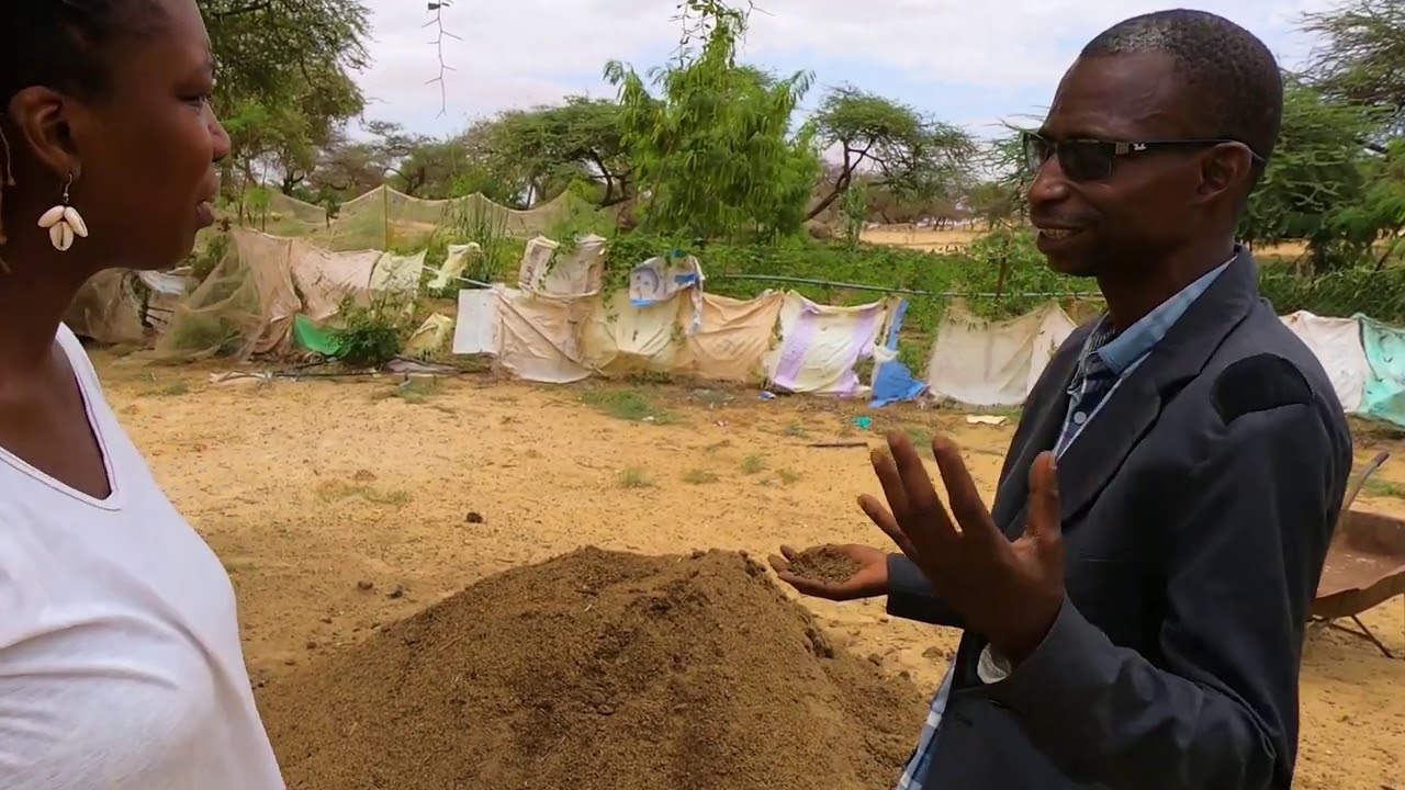 L'agriculture biologique, découvrez le bokass.