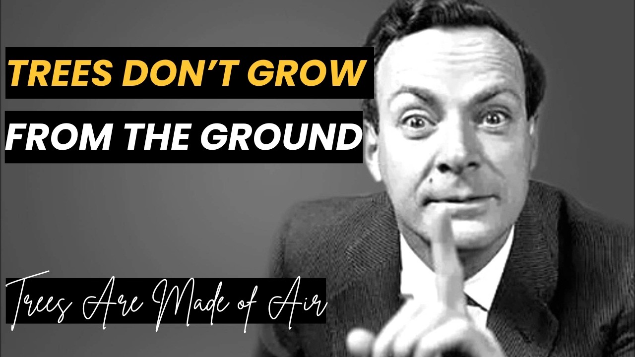Trees DO NOT Grow From The Ground Feynman's Explains why