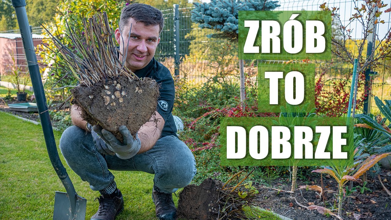Rozmnażanie roślin. Moje metody i sposoby
