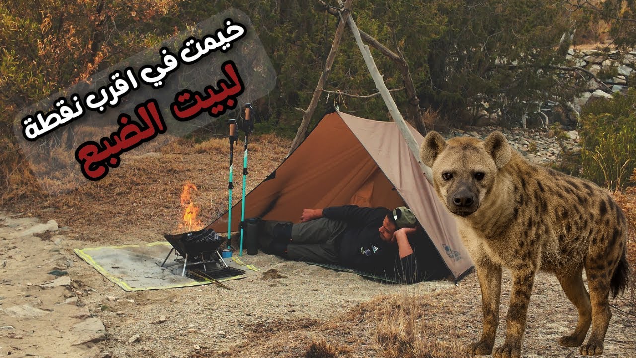 اربعة ايام مراقبة ليلية 📷 وخيمت عند اقرب نقطة لبيت الضبع ⛺️